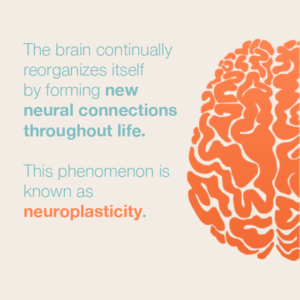 website-neuroplasticity-300x300